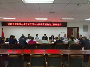 城管和市場監(jiān)管局組織召開企業(yè)登記代理中介機(jī)構(gòu)專項整治工作推進(jìn)會