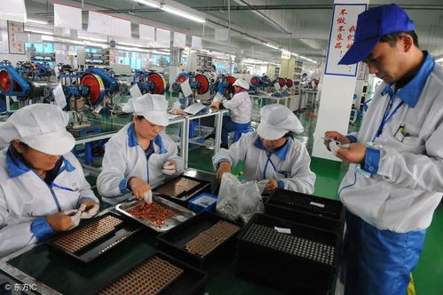 打卡50天就拿8000塊返費,這樣的勞務(wù)中介你敢信任嗎