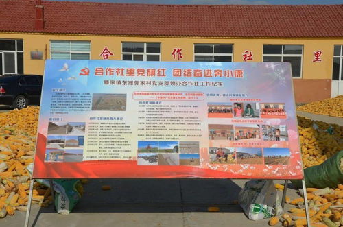 虎山鎮(zhèn)召開 作風大改進 問題大整改 工作大提升 行動推進會